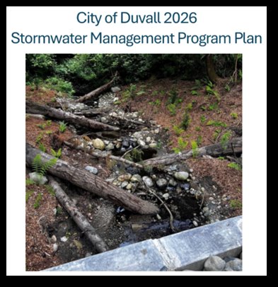 Storm Water Management 
